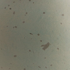 Vase Baychester